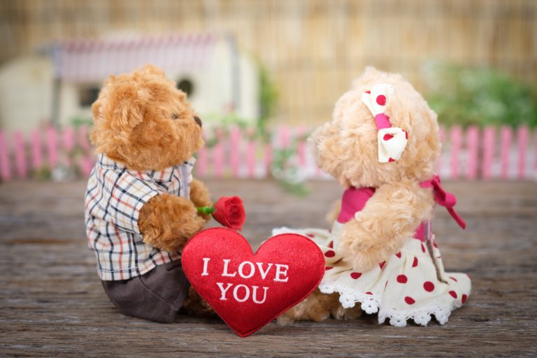 Image of two teddy bears in love with a red love heart between them saying "I love you" - Tim Downer Celebrant